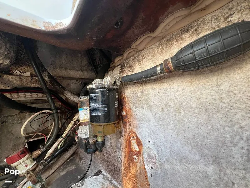 Slide: The Image of Pro-Line 29 Super Sport 2004 - 16214043