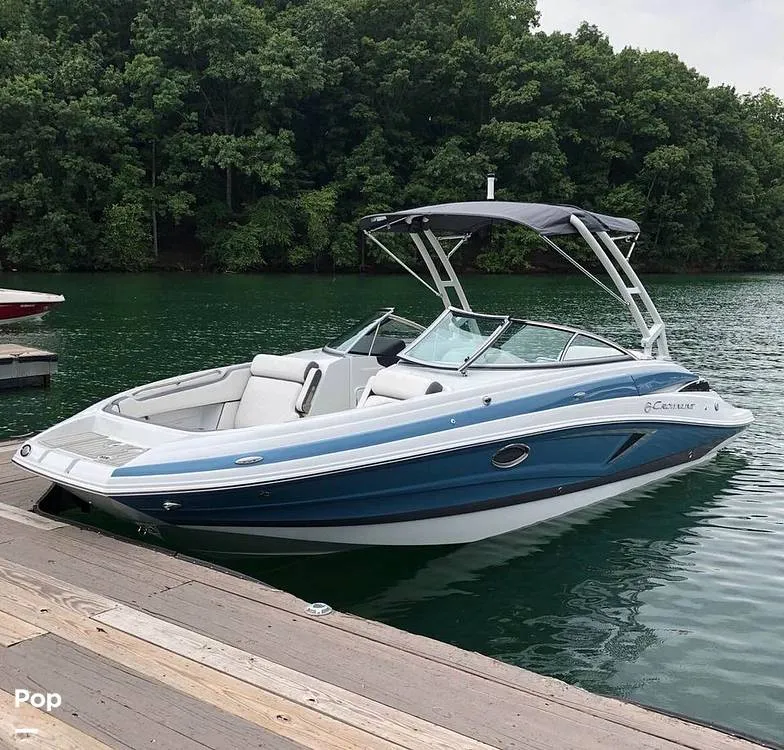 The Image of Crownline Boats E255 2022 - 14701394