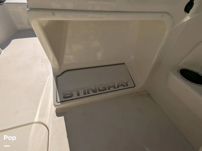 Slide: The Image of Stingray 191DC 2023 - 15110121