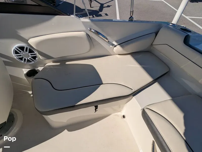 Slide: The Image of Stingray 191DC 2023 - 15110132