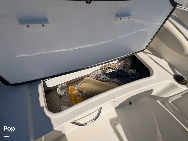 Slide: The Image of Stingray 191DC 2023 - 15110136