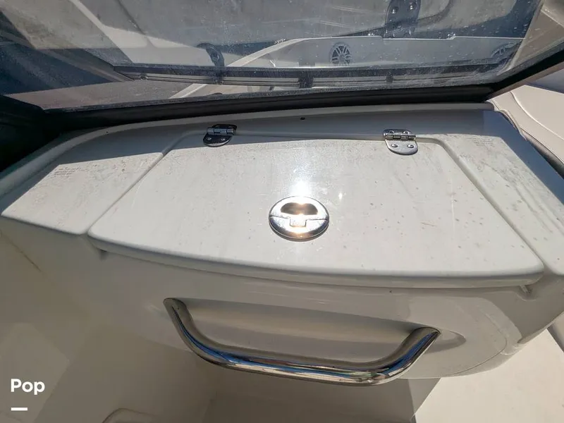 Slide: The Image of Stingray 191DC 2023 - 15110137