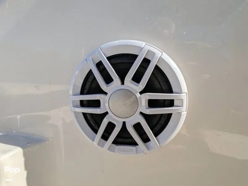 Slide: The Image of Stingray 191DC 2023 - 15110139