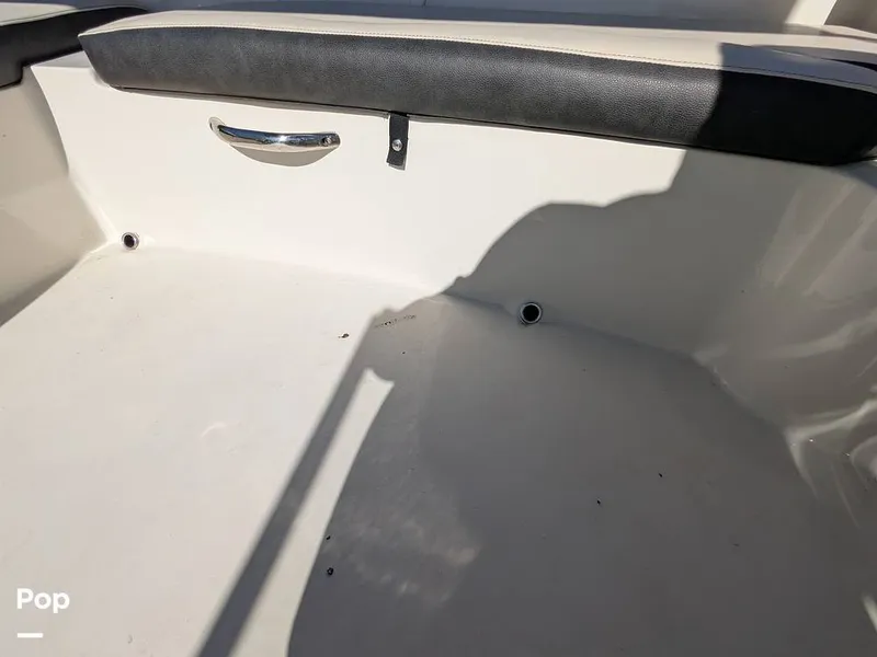 Slide: The Image of Stingray 191DC 2023 - 15110140