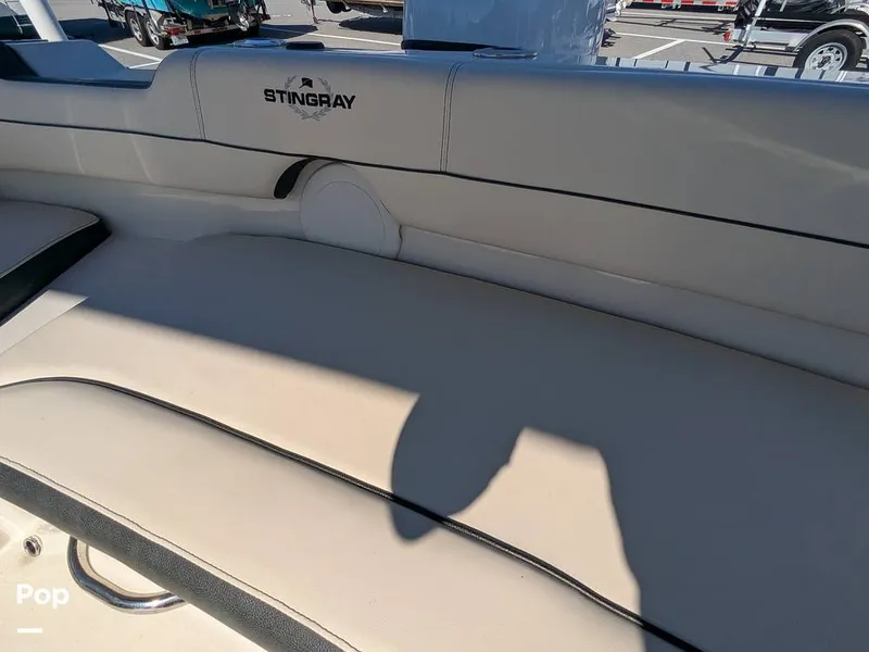 Slide: The Image of Stingray 191DC 2023 - 15110142