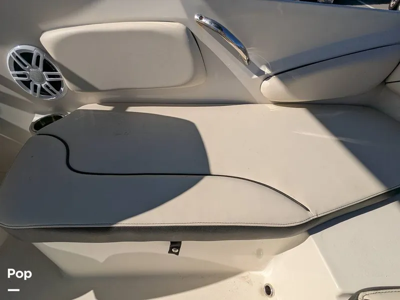 Slide: The Image of Stingray 191DC 2023 - 15110143