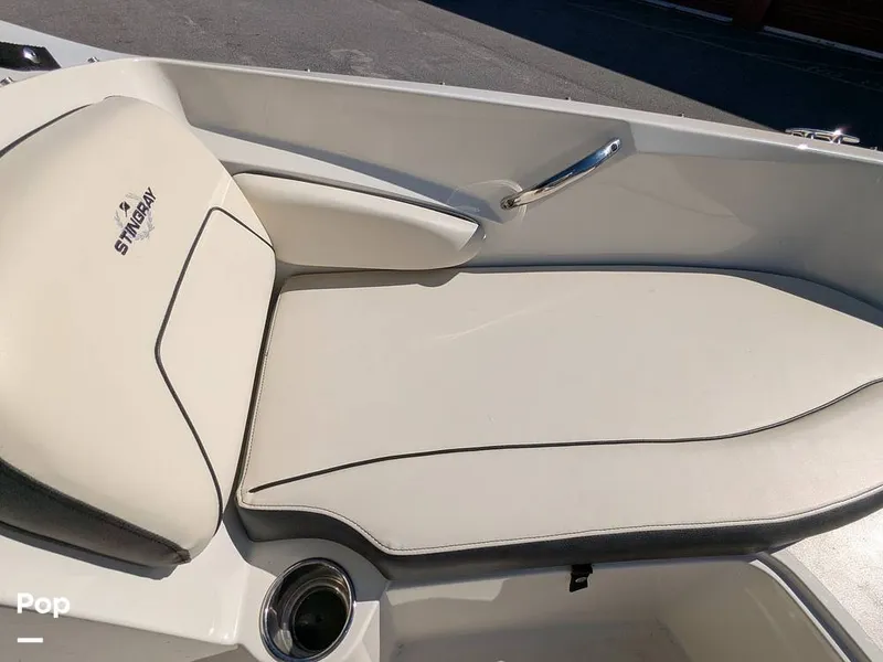 Slide: The Image of Stingray 191DC 2023 - 15110146