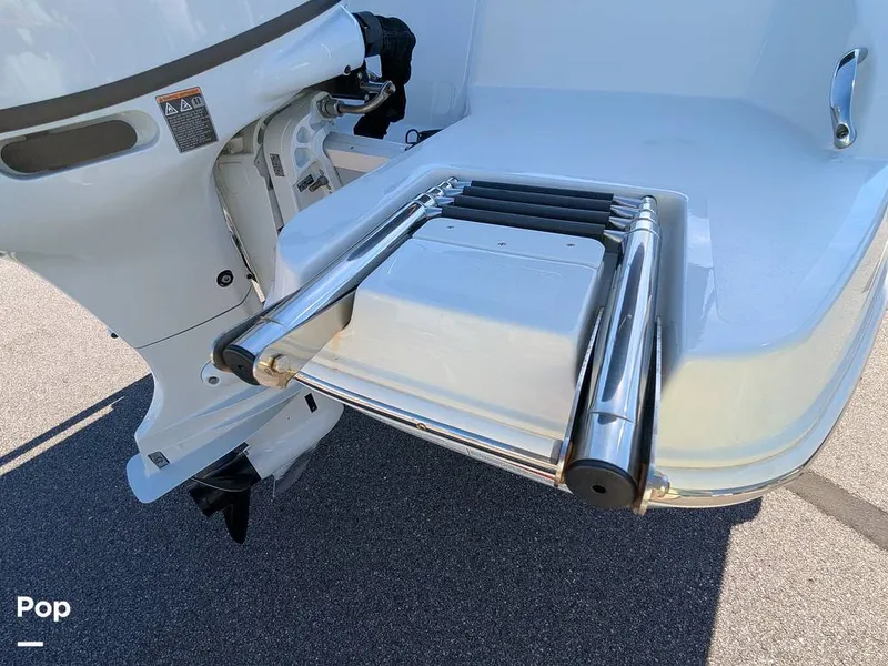 Slide: The Image of Stingray 191DC 2023 - 15110148