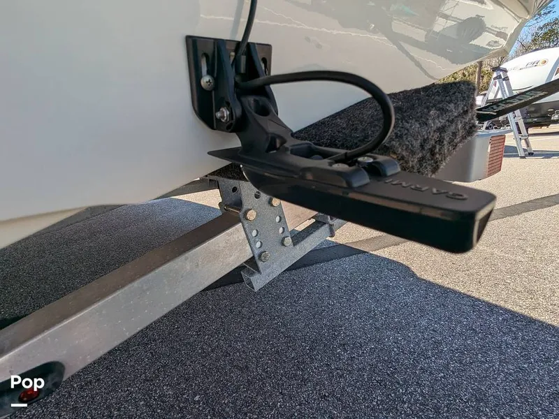 Slide: The Image of Stingray 191DC 2023 - 15110177