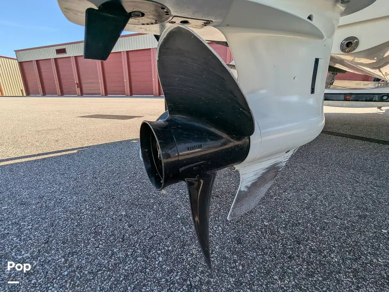 Slide: The Image of Stingray 191DC 2023 - 15110180