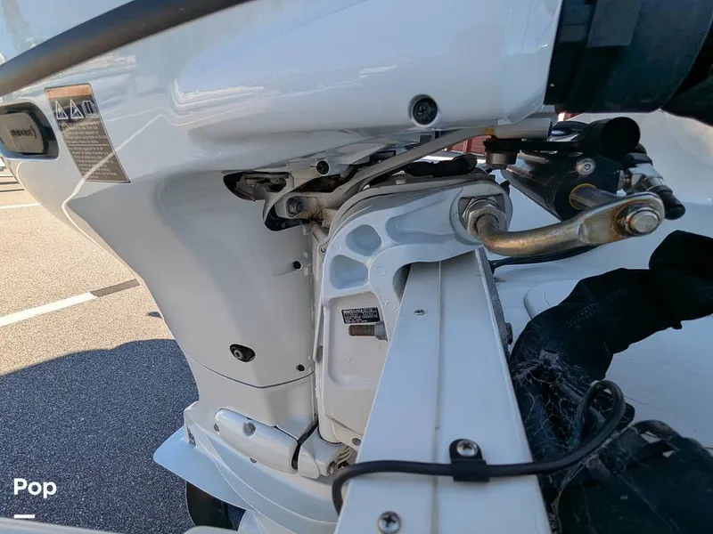 Slide: The Image of Stingray 191DC 2023 - 15110185