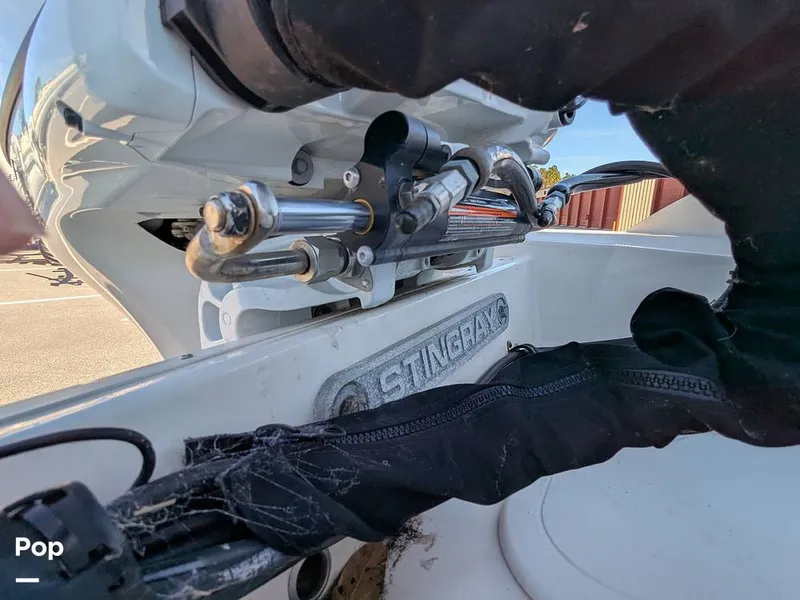 Slide: The Image of Stingray 191DC 2023 - 15110186