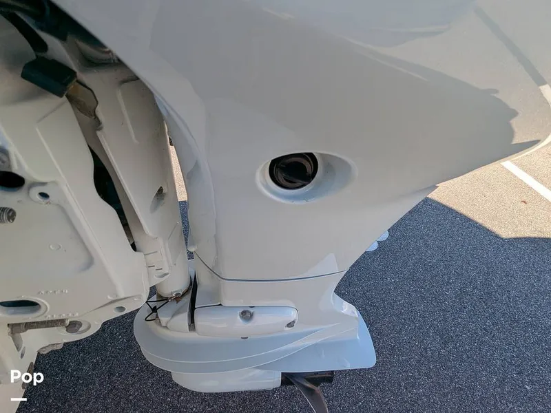 Slide: The Image of Stingray 191DC 2023 - 15110187