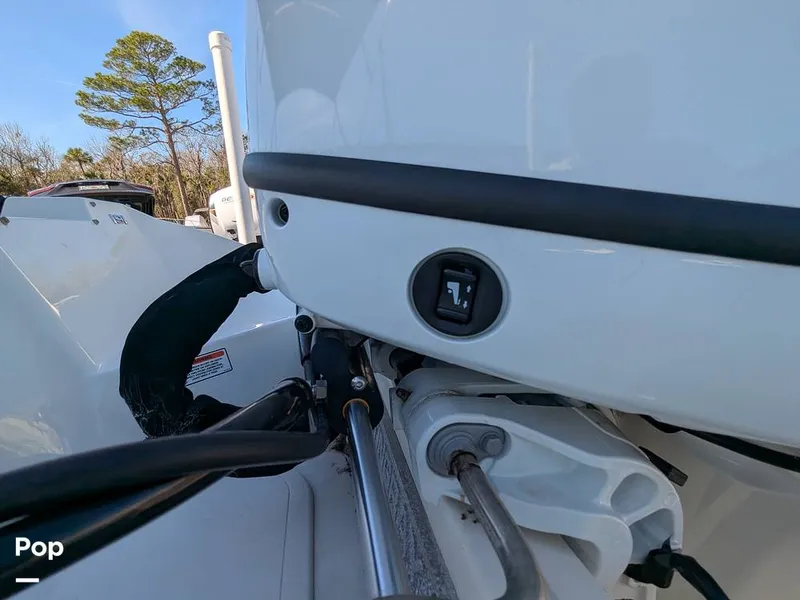 Slide: The Image of Stingray 191DC 2023 - 15110188