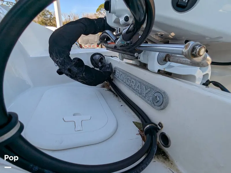 Slide: The Image of Stingray 191DC 2023 - 15110189