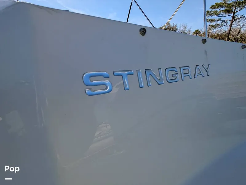 Slide: The Image of Stingray 191DC 2023 - 15110190