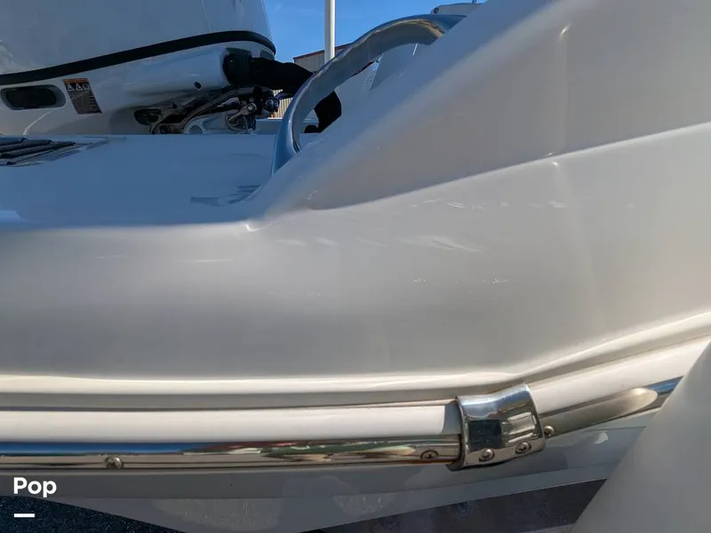 Slide: The Image of Stingray 191DC 2023 - 15110192