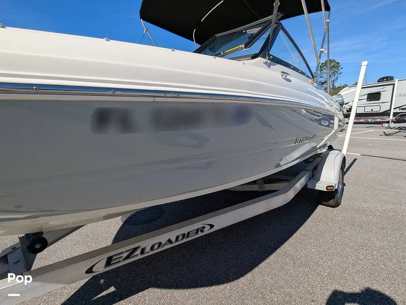 Slide: The Image of Stingray 191DC 2023 - 15110195