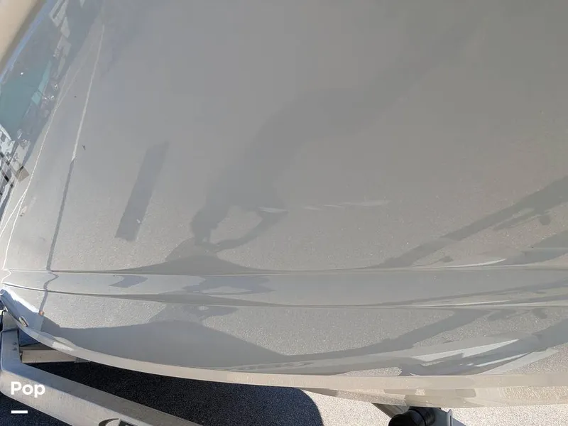 Slide: The Image of Stingray 191DC 2023 - 15110199