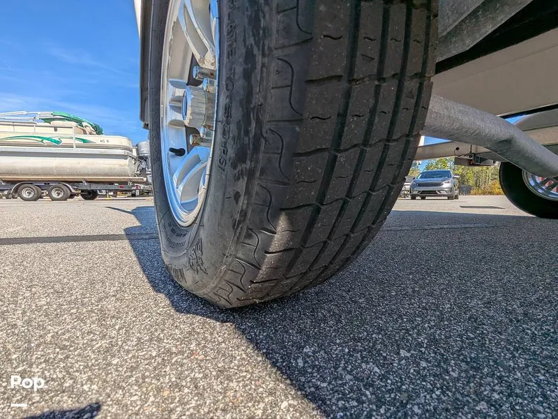 Slide: The Image of Stingray 191DC 2023 - 15110202