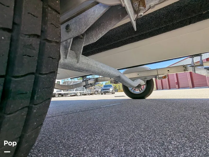 Slide: The Image of Stingray 191DC 2023 - 15110203