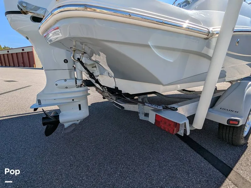 Slide: The Image of Stingray 191DC 2023 - 15110204