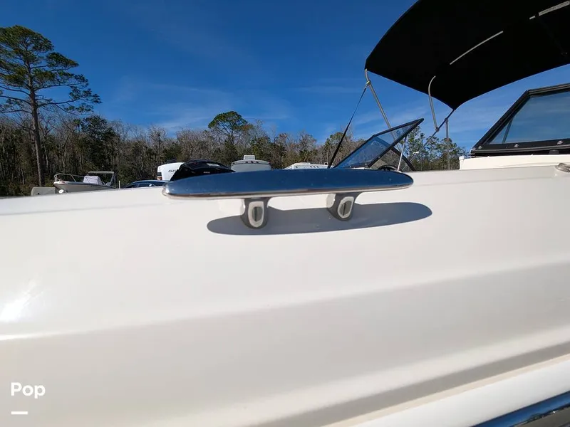 Slide: The Image of Stingray 191DC 2023 - 15110206