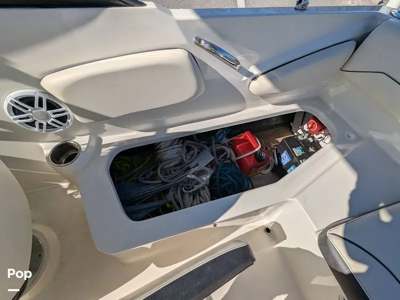 Slide: The Image of Stingray 191DC 2023 - 15110133