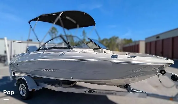 Slide: The Image of Stingray 191DC 2023 - 15821724