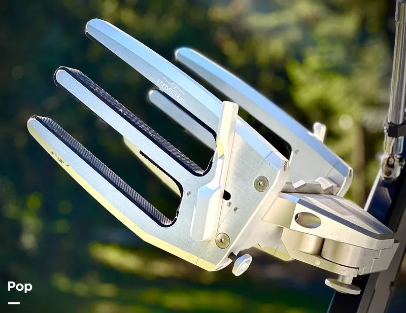 Slide: The Image of Tige RZX2 2018 - 14745943