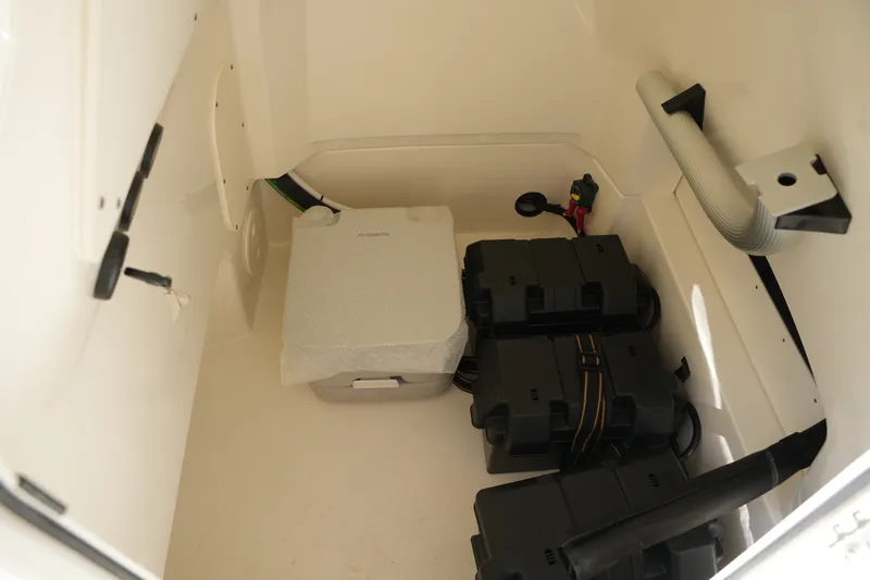 Slide: The Image of Boston Whaler 250 Dauntless 2026 - 23