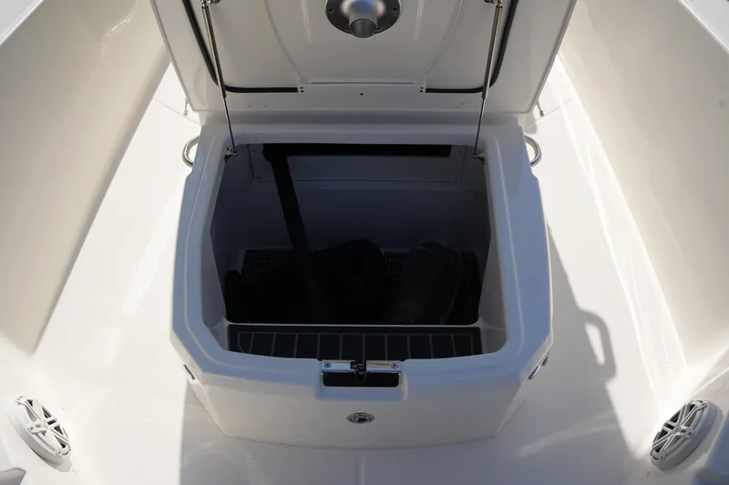 Slide: The Image of Boston Whaler 250 Dauntless 2026 - 29