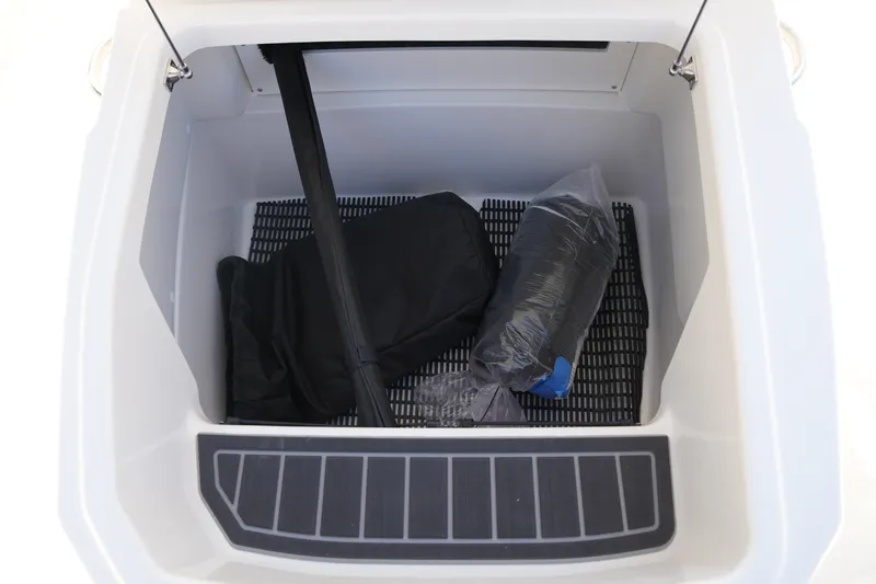 Slide: The Image of Boston Whaler 250 Dauntless 2026 - 30