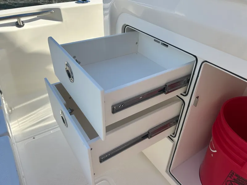 Slide: The Image of Boston Whaler 250 Dauntless 2026 - 10