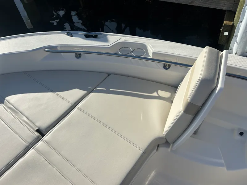 Slide: The Image of Boston Whaler 250 Dauntless 2026 - 21