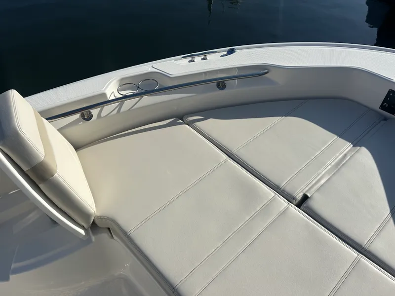 Slide: The Image of Boston Whaler 250 Dauntless 2026 - 23