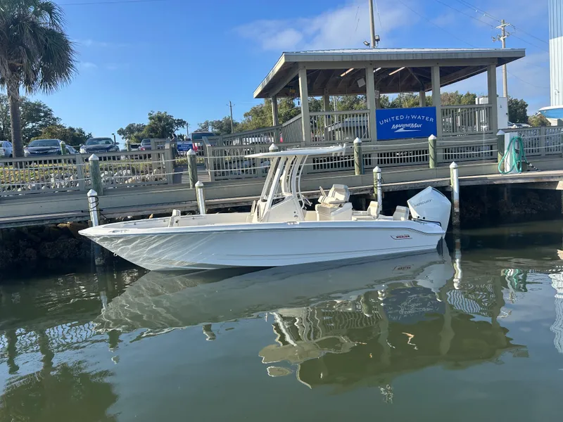 Slide: The Image of Boston Whaler 250 Dauntless 2026 - 3