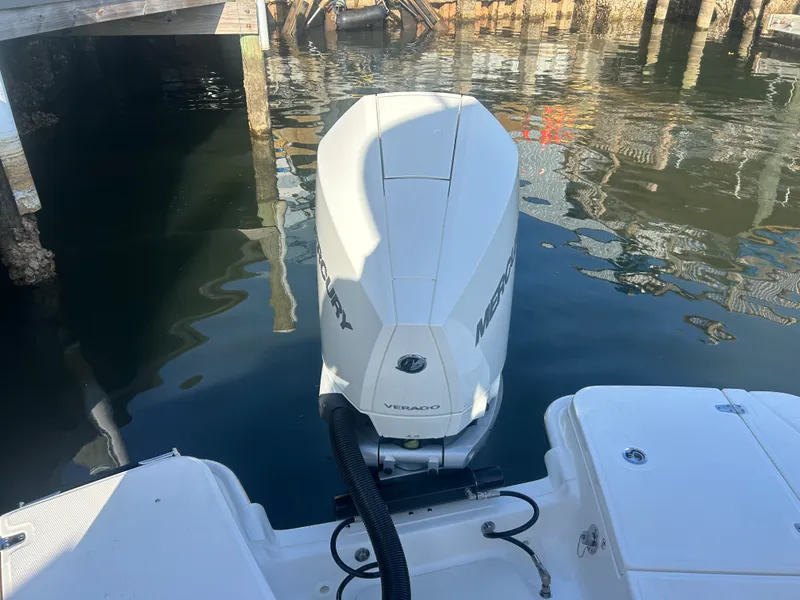 Slide: The Image of Boston Whaler 250 Dauntless 2026 - 6