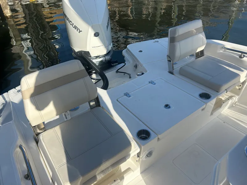 Slide: The Image of Boston Whaler 250 Dauntless 2026 - 7