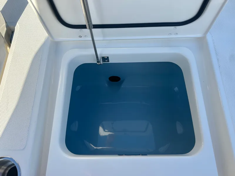 Slide: The Image of Boston Whaler 250 Dauntless 2026 - 8