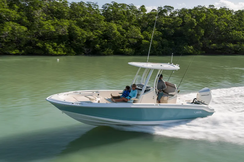 Slide: The Image of Boston Whaler 250 Dauntless 2024 - 11