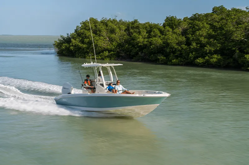 Slide: The Image of Boston Whaler 250 Dauntless 2024 - 12