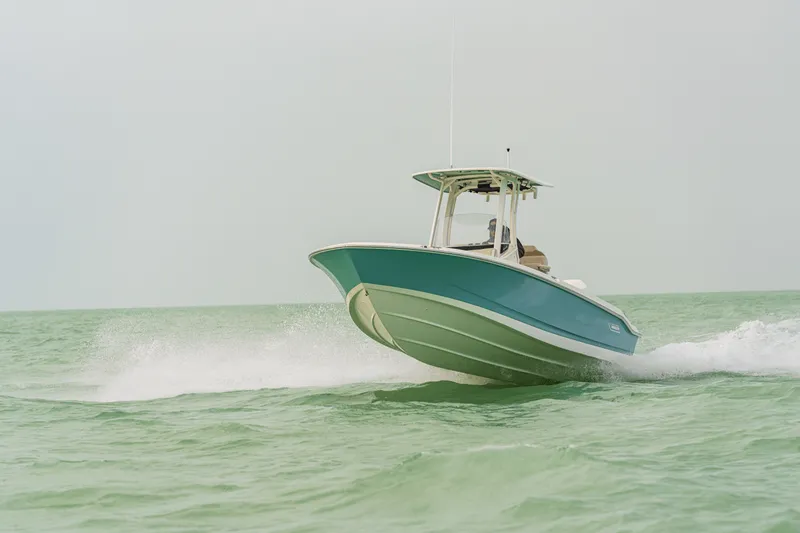 Slide: The Image of Boston Whaler 250 Dauntless 2024 - 21