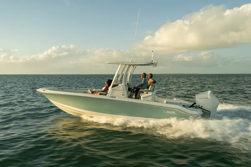 Slide: The Image of Boston Whaler 250 Dauntless 2024 - 35