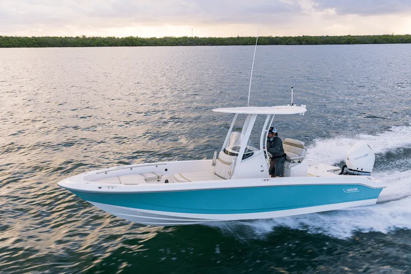 Slide: The Image of Boston Whaler 250 Dauntless 2024 - 37