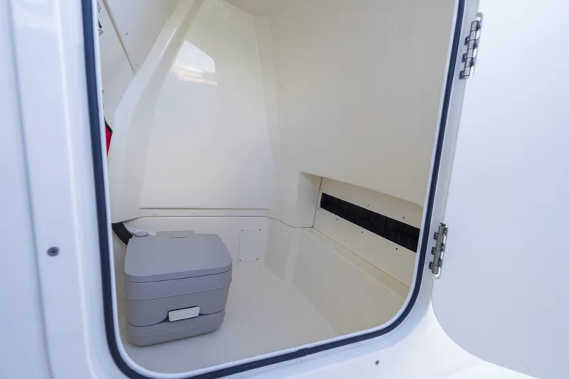 Slide: The Image of Boston Whaler 250 Dauntless 2024 - 55