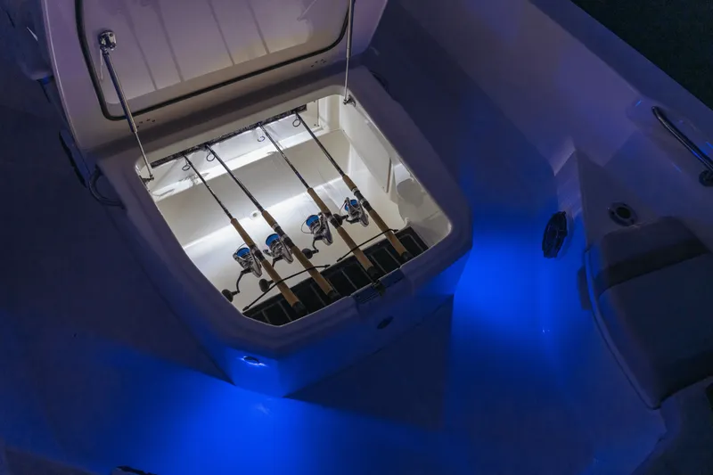 Slide: The Image of Boston Whaler 250 Dauntless 2024 - 64