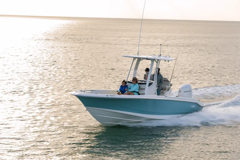 Slide: The Image of Boston Whaler 250 Dauntless 2024 - 8