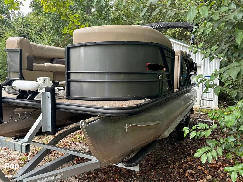 Slide: The Image of Sylvan Mirage 8522 Party Fish 2023 - 14695477