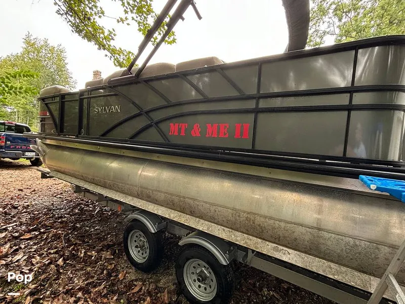 Slide: The Image of Sylvan Mirage 8522 Party Fish 2023 - 14695479